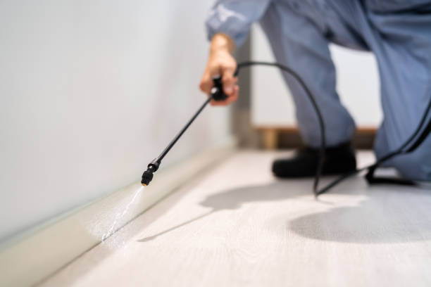 Licensed Pest Control service in Penitas, TX - Show Me Pest Control