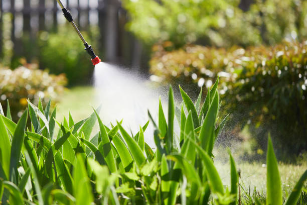 24/7 Emergency Mosquito Control experts in Penitas, TX