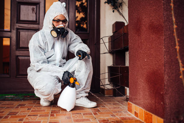 Reliable Mosquito Control contractor in Penitas, TX by Show Me Pest Control